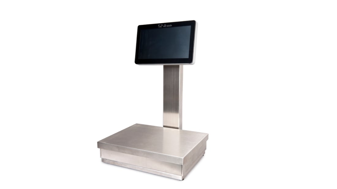 Ezi Scale SS-W stainless steel retail scale with a customer-facing display for front-of-house use