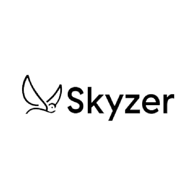 Skyzer Technologies